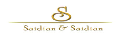 saidan-and-saidan-law-logo-removebg-preview (1)